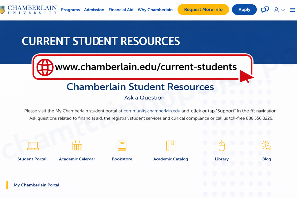 Access the Official Website